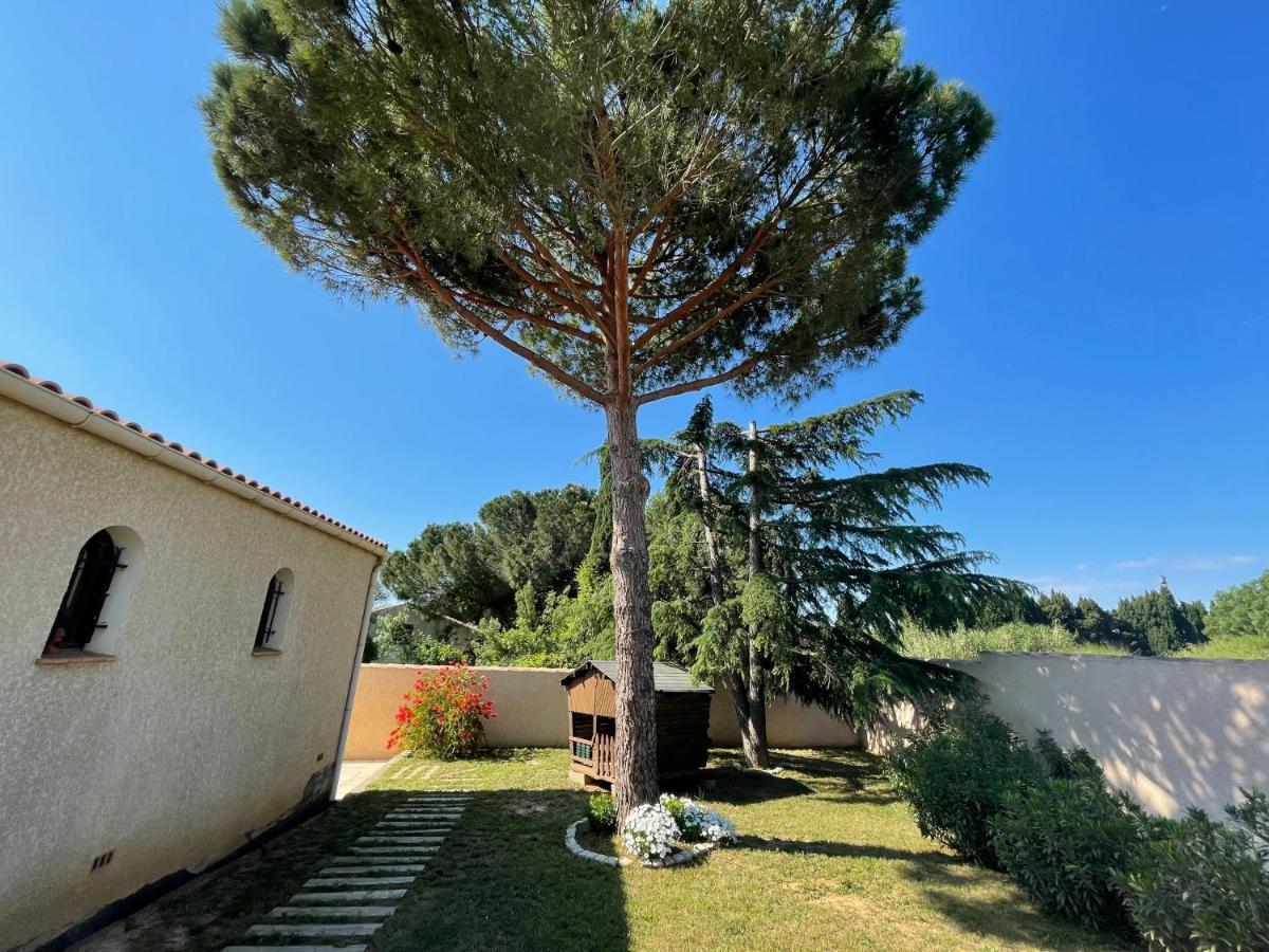Annexe Des Pins - Studio Gite Avec Piscine & Climatisation Villeneuve-lès-Béziers Buitenkant foto